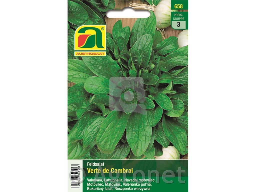 Motovilec žličar Velte de Cambrai, 15g