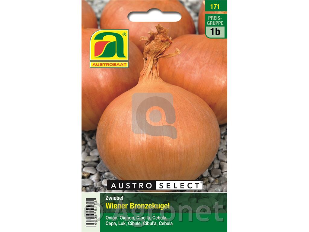Čebula Wiener Bronze 5g