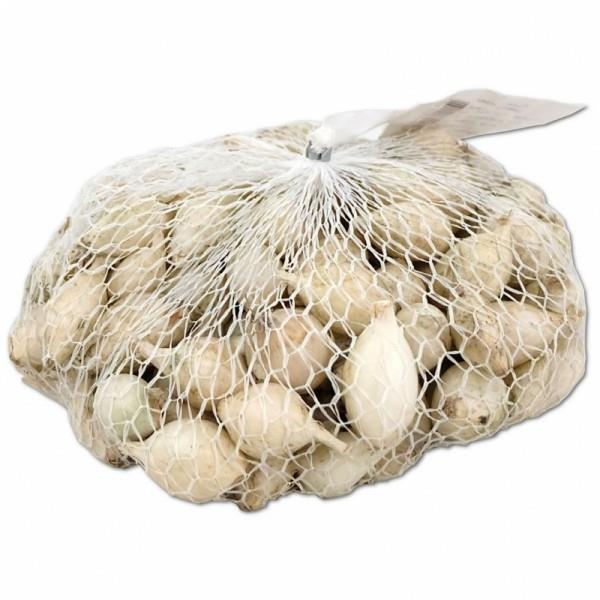 Čebulček Argenthea 500 g