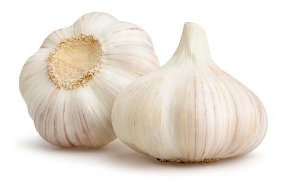 Česen semenski zimski 500 g