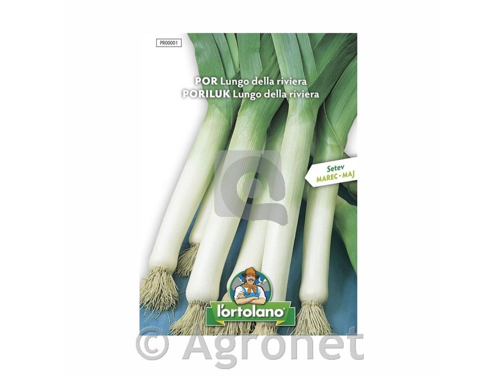 Por Lungo della riviera 3g