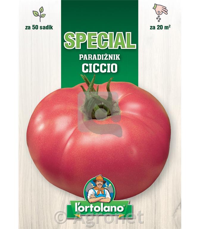 Paradižnik Ciccio