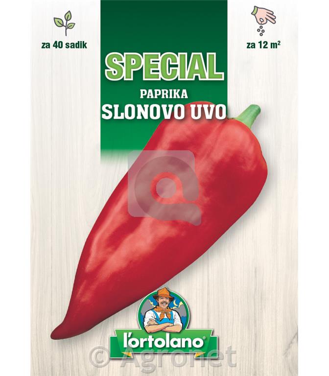 Paprika Slonovo Uvo