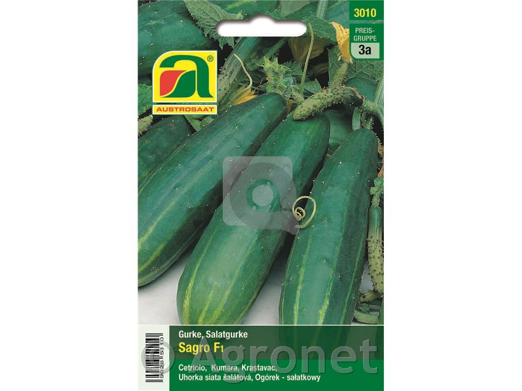 Kumare Sagro F1, 5g
