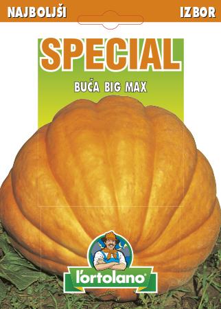 Buča Big Max, 6 g
