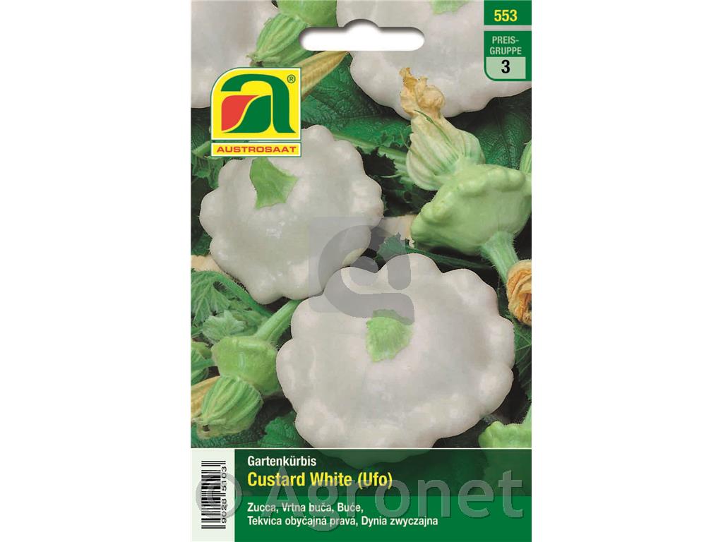 Jedilna buča Custard White, 5g