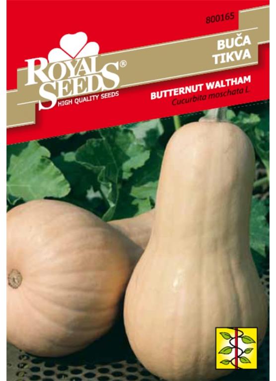 Buča Butternut Waltham 2g