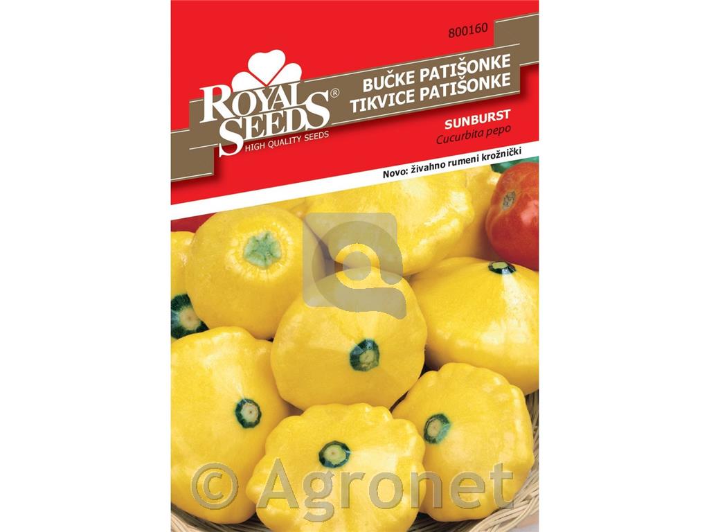 Buča Patišon rumena
