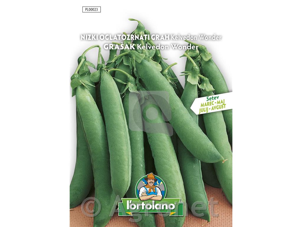 Grah nizki oglatozrnati Kelvedon Wonder, 40 g