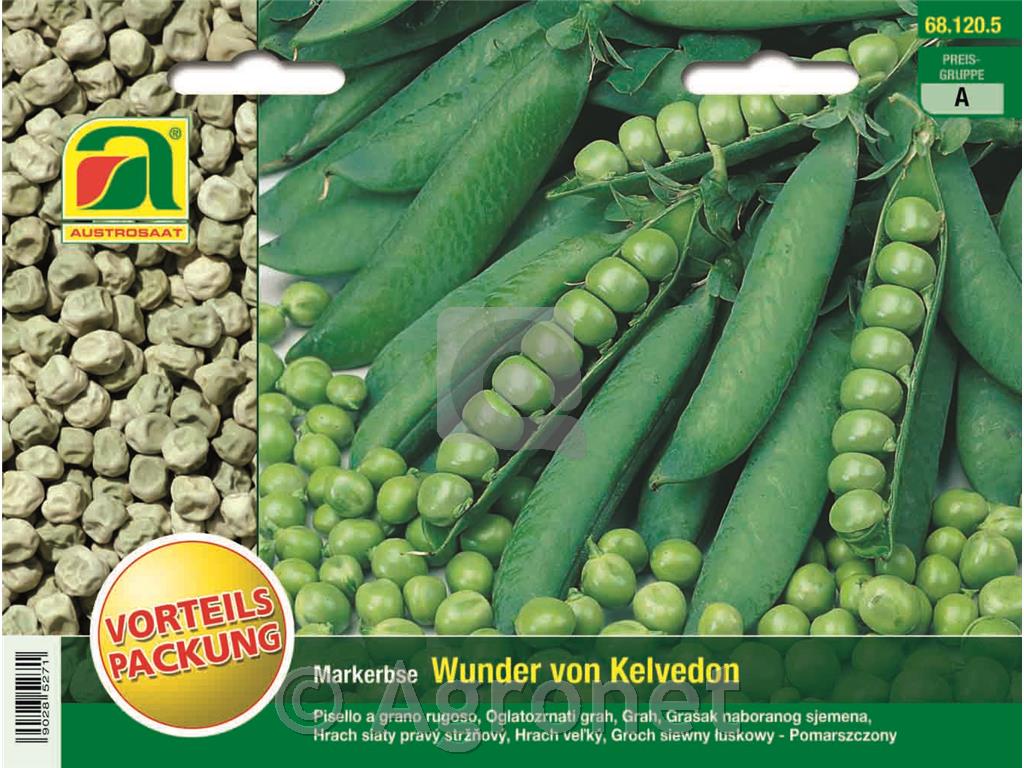 Grah Wunder von Kelvedon, nizki 120g