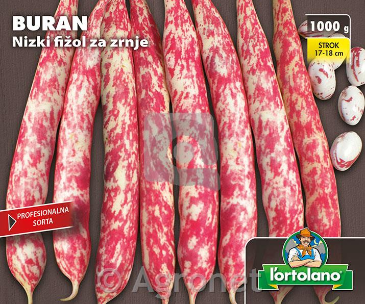 Nizki fižol za zrnje Buran 1kg
