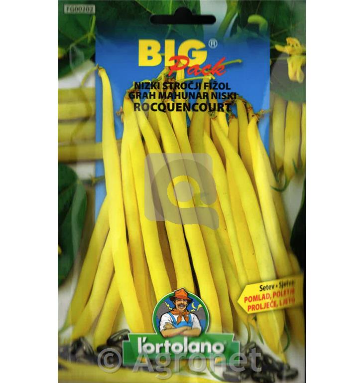 Fižol Rocquencourt, 65g