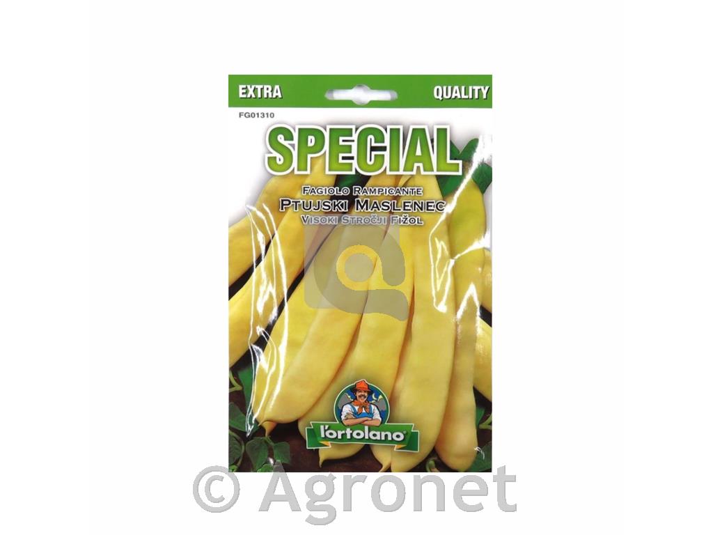 Fižol visoki Ptujski Maslenec, 70 g