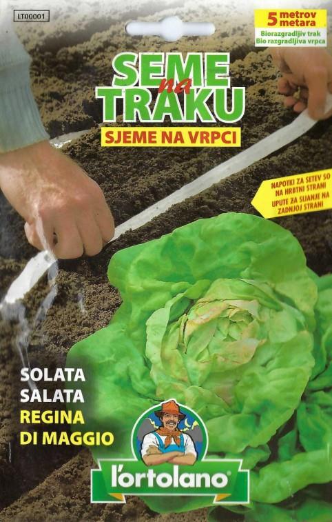 Solata Regina di Maggio, seme na traku