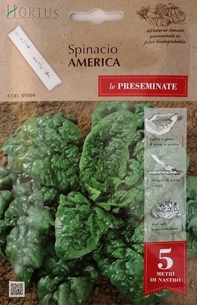 Špinača America, seme na traku