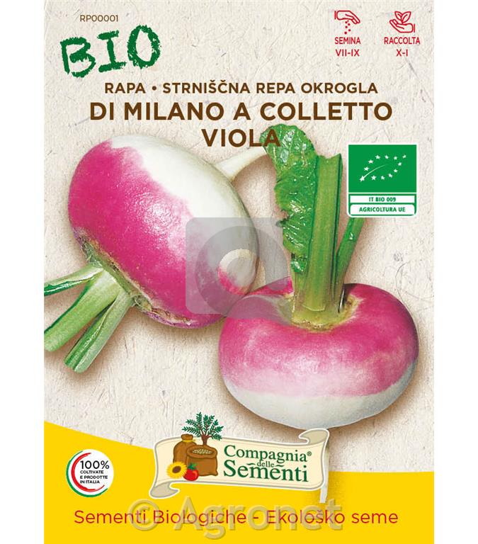 Repa Milano colletto viola EKO 10 g