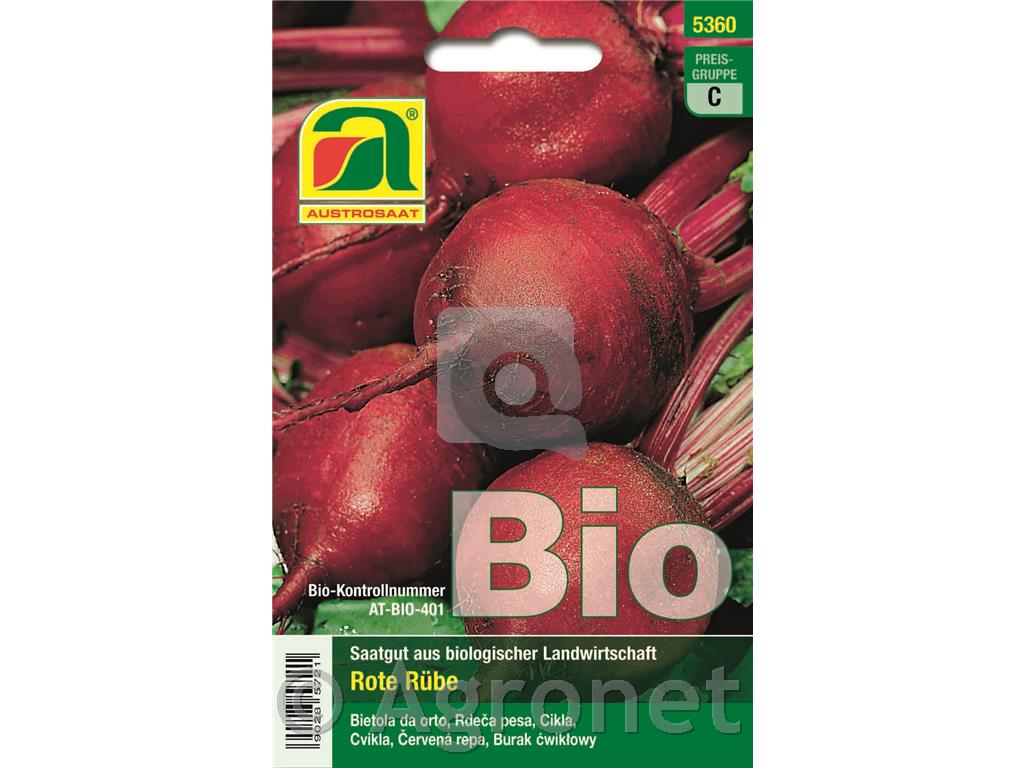 Rdeča pesa Detroit 2 EKO