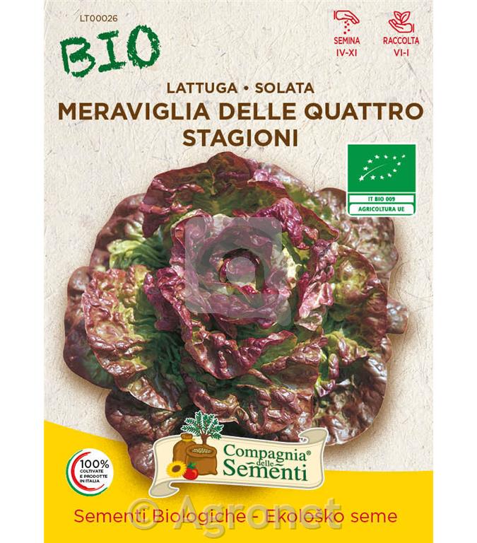 Solata štirje letni časi EKO 7 g