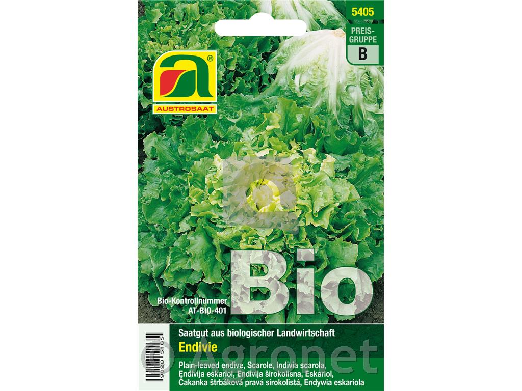 Endivja šuirokolistna EKO