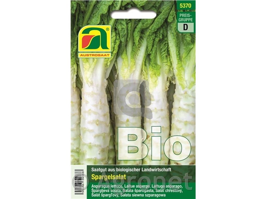 Solata Špargljeva BIO