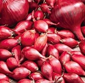 Čebulček Red Baron, 250 g
