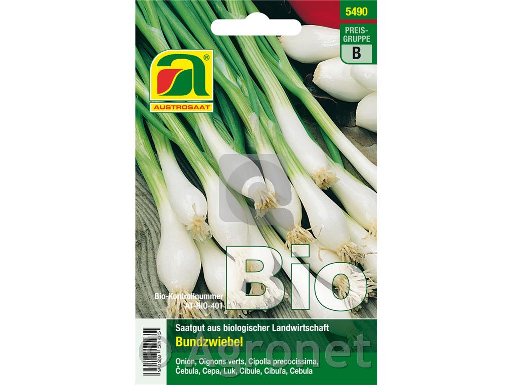 Čebula EKO