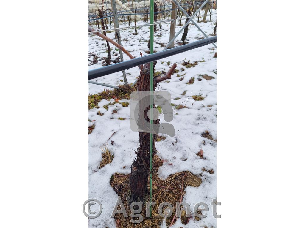 Količek iz stekloplastičnih vlaken 12mm x 160cm