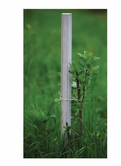 Opornik za rastline fi 37 x 265 cm