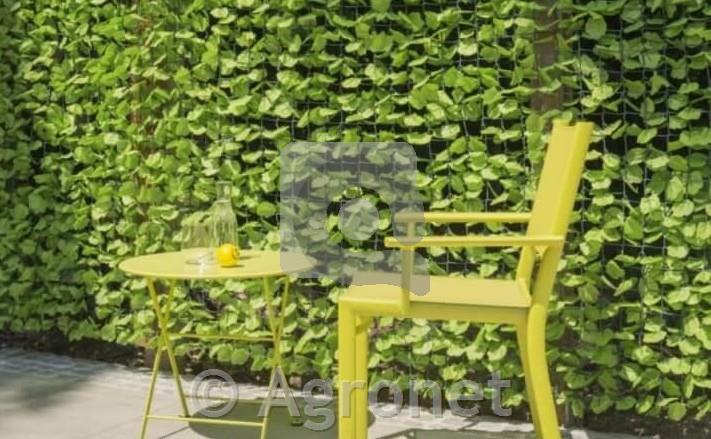 Vrtna ograja Wein 1,5 x 3m, zelena