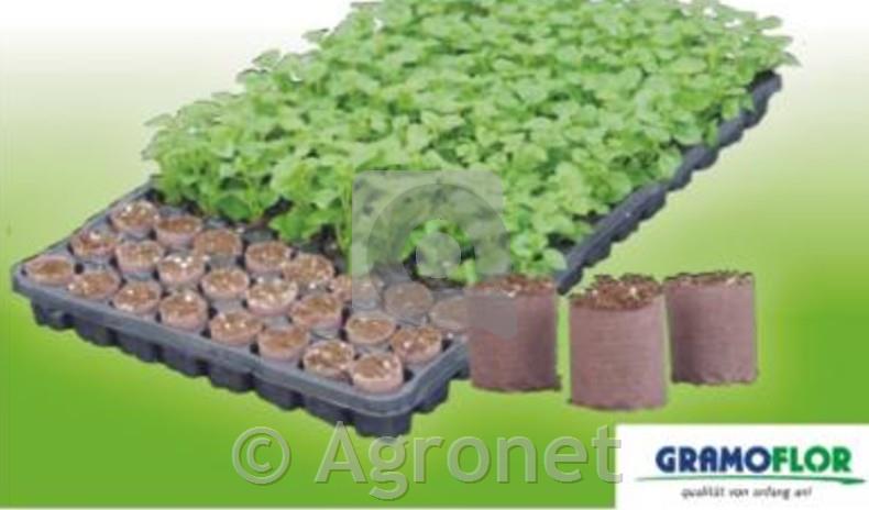 Paperpot Plus 2,5 cm - 104 kos