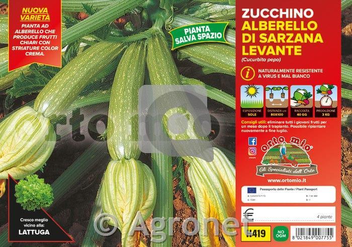 Bučke Levante F1, 4 kos