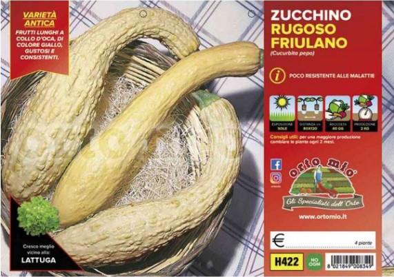 Bučke Rugoso Friulano, 4 kos