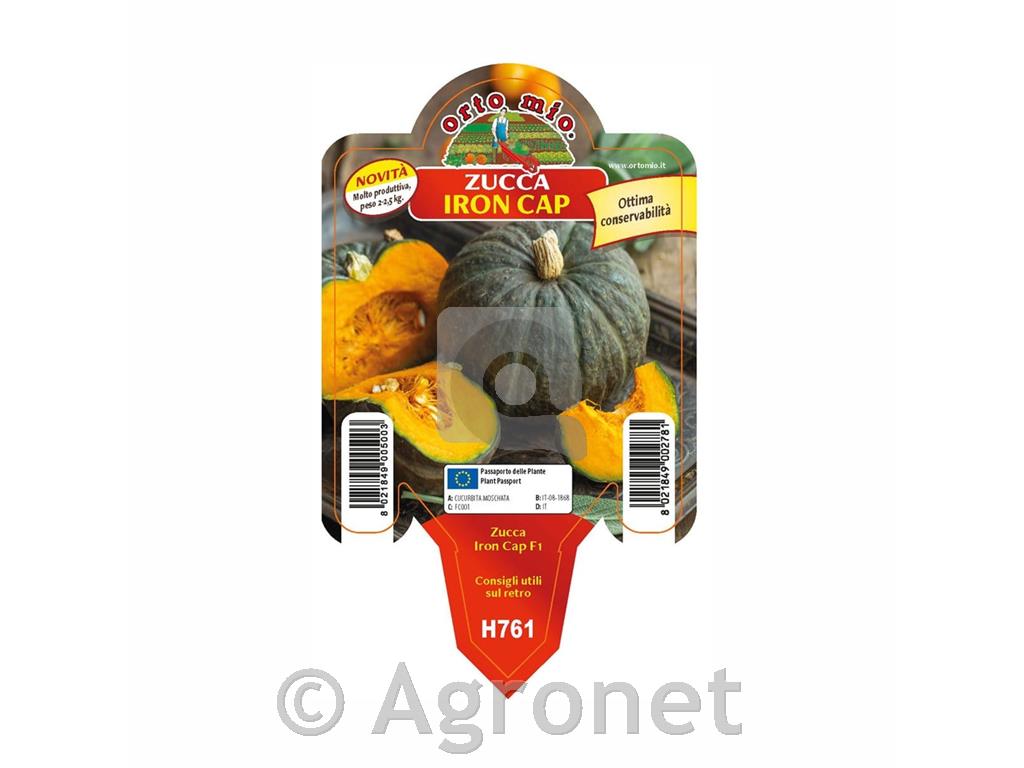 Bučke Tetsukabuto F1, 1kos