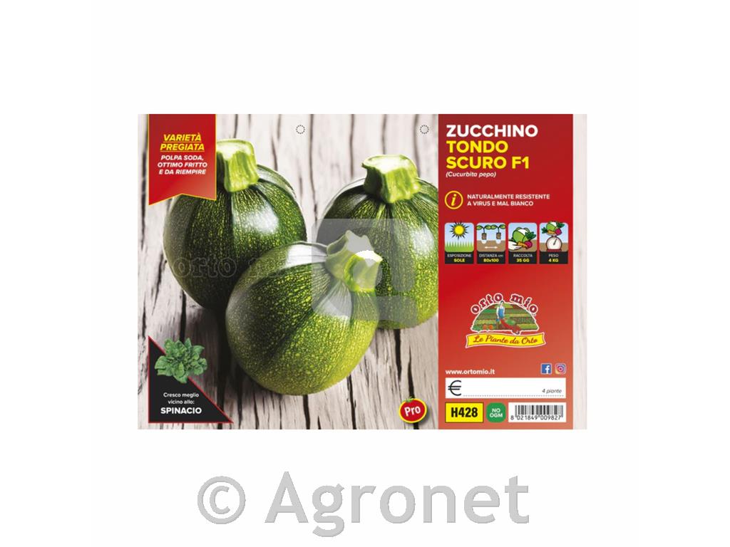 Buške Jupiter F1, 4 kos