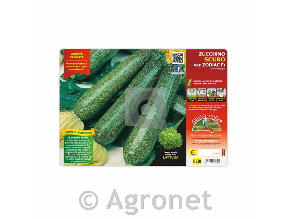 Bučke podolgovata Aloha F1