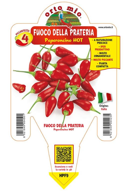 Čili Fuoco della prateria, 1 kos