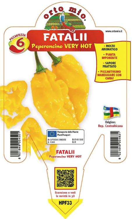 Čili Fatalii Yellow, 1 kos
