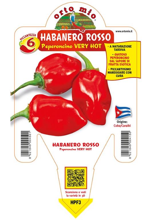 Čili Habanero Red, 1 kos