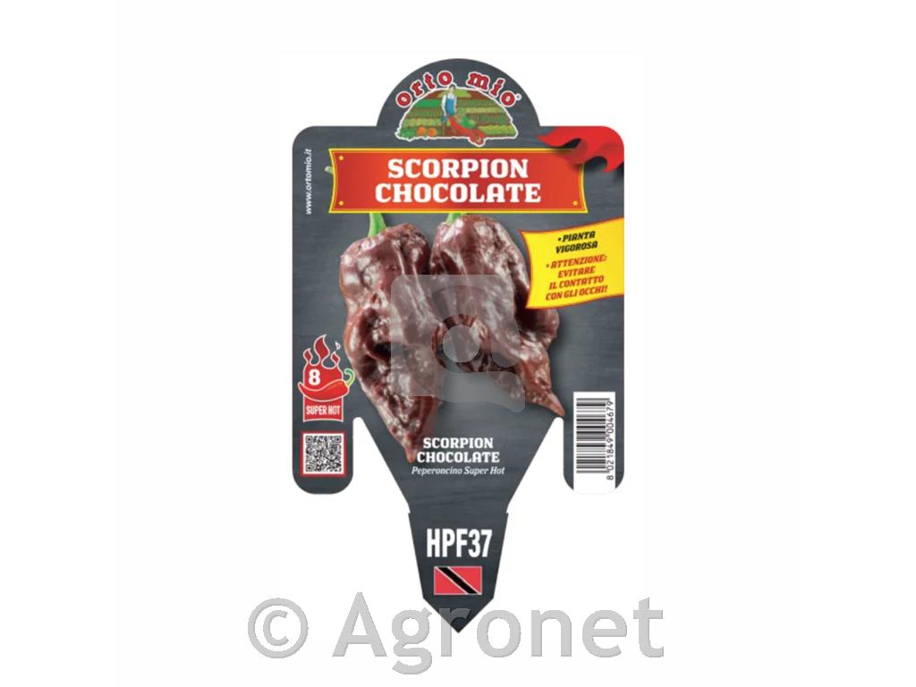 Čili paprika Trinidad Scorpion Chocolate, 1 kos