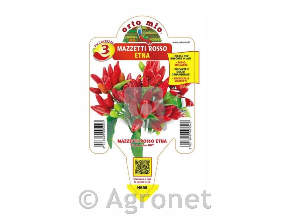 Čili paprika Etna, 1 kos