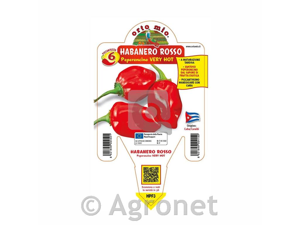 Čili paprika Habanero Red