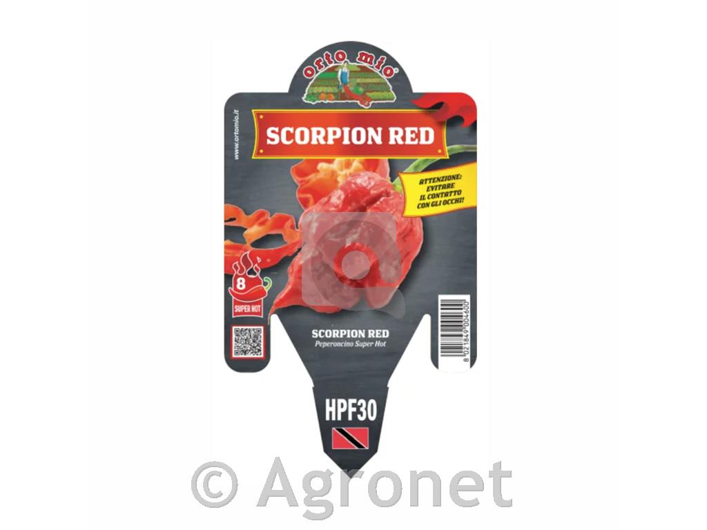 Čili paprika Scorpion Red, 1 kos