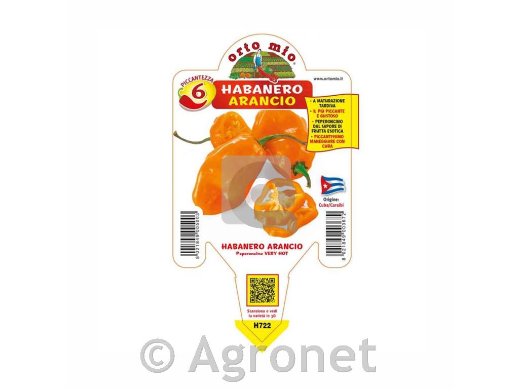 Čili paprika Habanero Orange