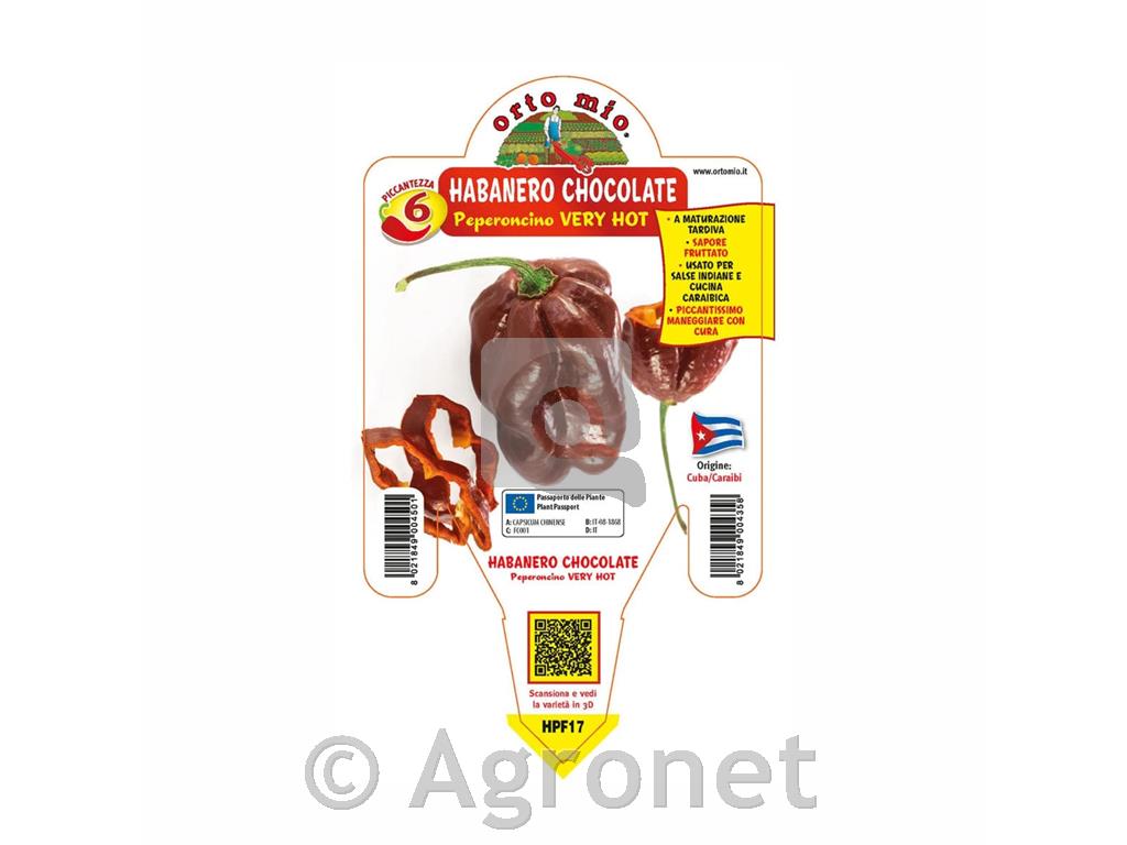 Čili paprika Habanero Chocolate