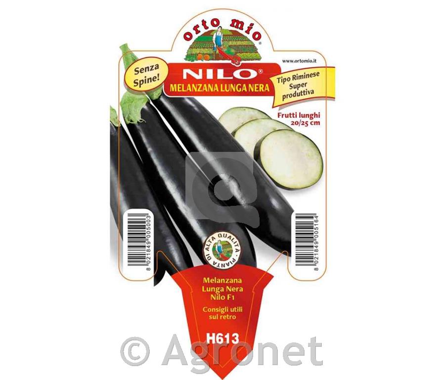 Jajčevec Nilo F1, 1 kos