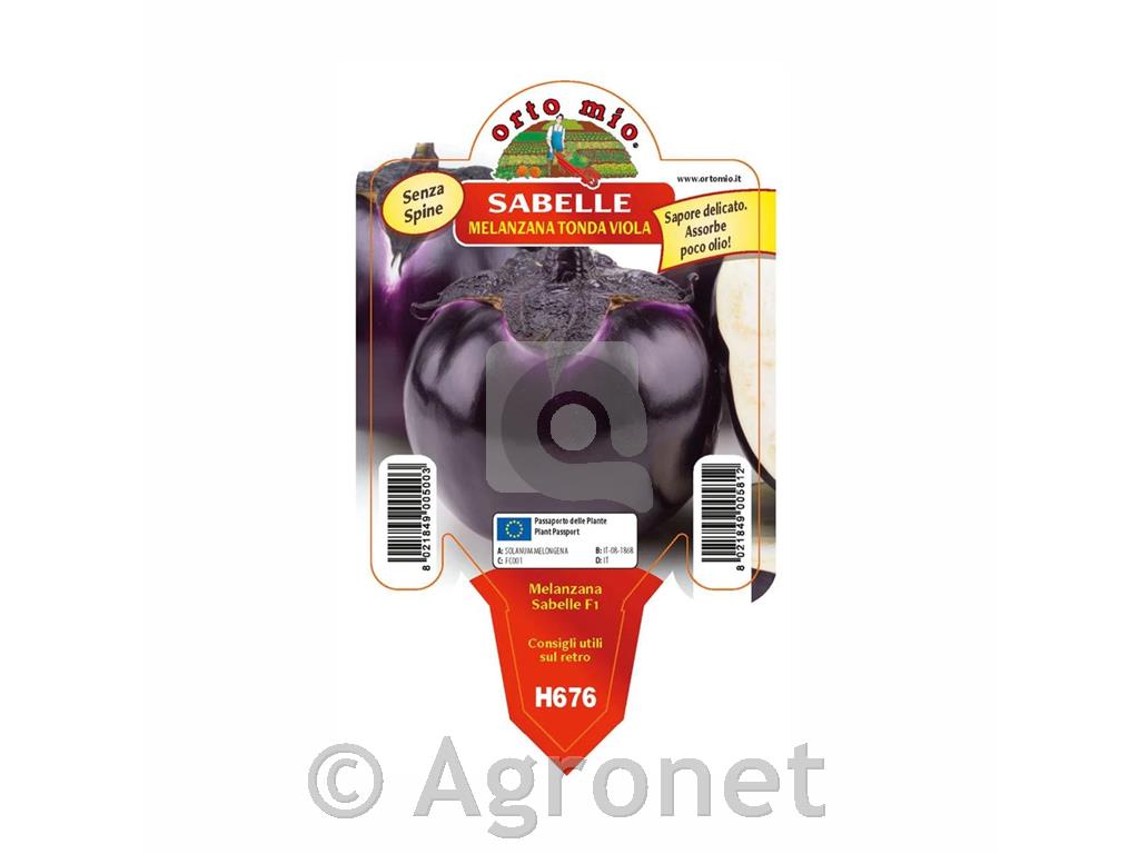 Jajčevec okrogli Sabelle F1