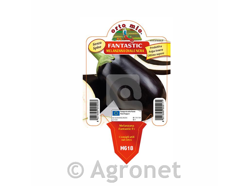 Jajčevec črni cepljen Fantastic F1