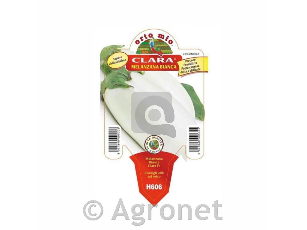 Jajčevec beli Gaia F1