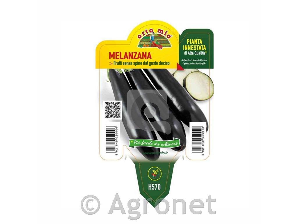 Jajčevec dolgi črni Fiona F1