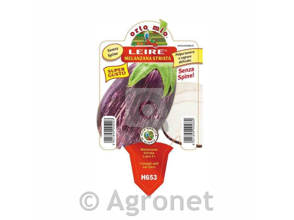 Jajčevec dolgi vijolični Cima di Viola F1